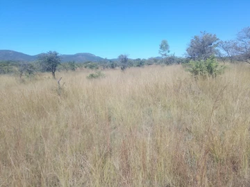 Land