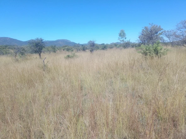 Land