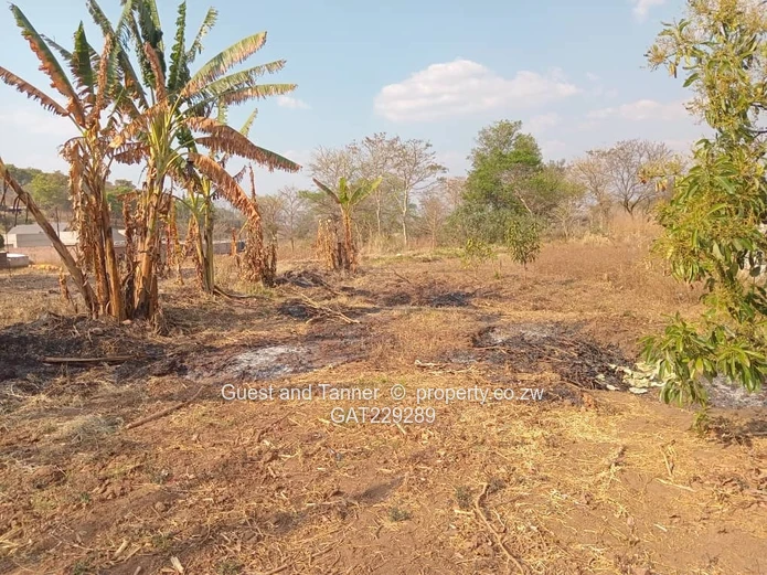 Ruwa Stand for Sale – Prime 843sqm Residential Stand in Fully Serviced Area | Reduced Price