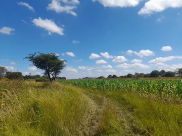 14.1 Hectares Prime Residential Land For Sale in Old Marlborough