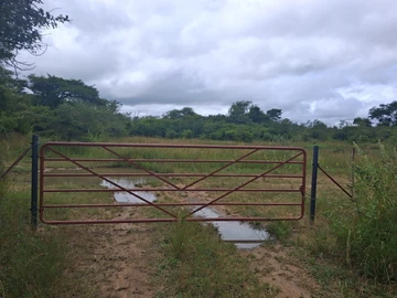 Land