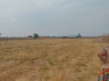 Farm & Agricultural Land