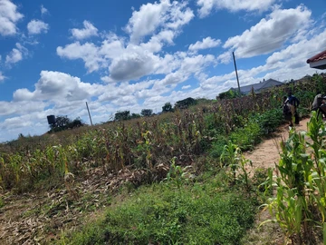 Prime 1000m² Land in Crowhill Views, Harare North