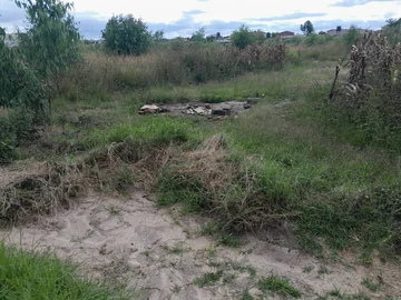 Land