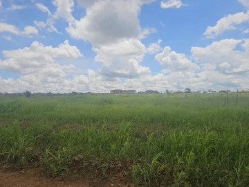 Land
