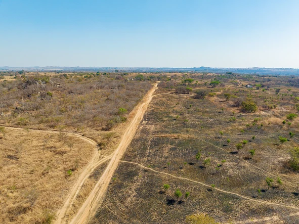 Farm & Agricultural Land