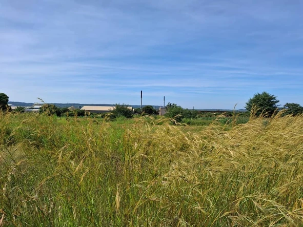 Land
