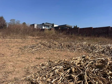 Stands & Residential Land