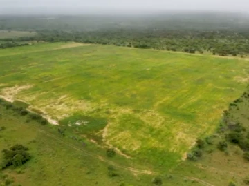 Farm & Agricultural Land