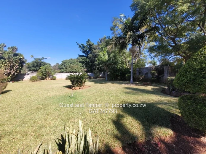 New Marlborough Neat and Spacious Family Home - 4 Bedrooms to Rent