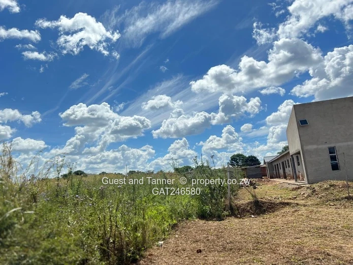 Low and High Density Stands for Sale 