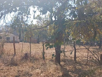 Farm & Agricultural Land