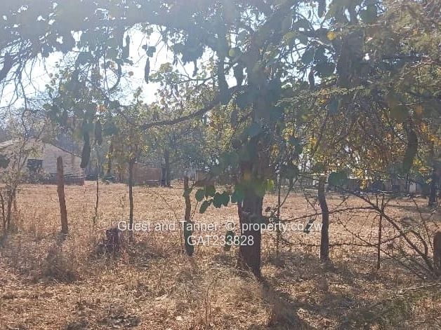 Prime Agro-Residential Plots for Sale – Norton (Limited Availability, High Demand)