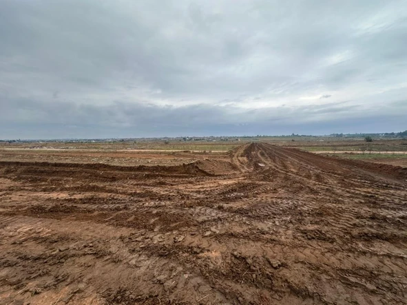 Stands & Residential Land
