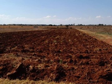 Land