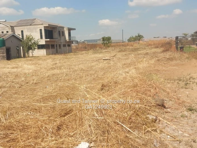 Fairview Residential Stand for Sale