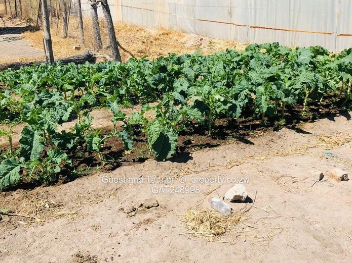 2 Prime Agricultural Plots for Sale – Ngezi Farming Area 