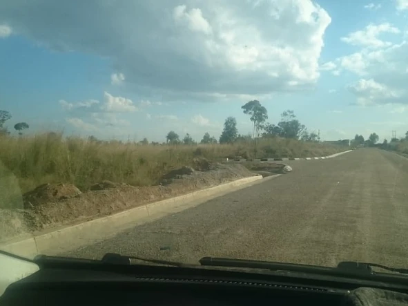 Land