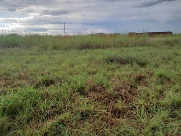 Land