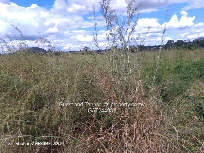 Residential Stand For Sale In Greenhill Bindura