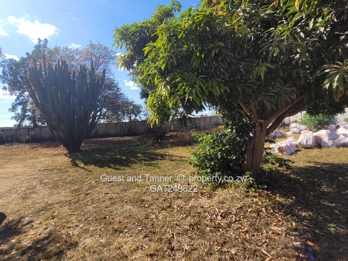 Investor's Delight – Residential or Commercial Potential