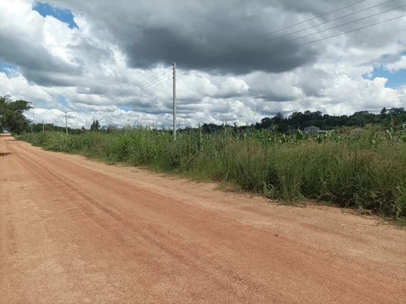 Land