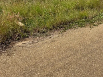2000m² Residential Land in Pomona with Tarred Roads