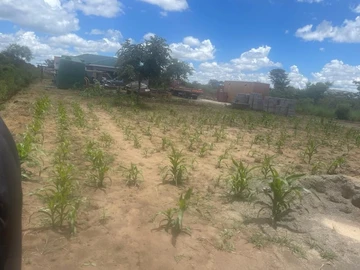 Prime 1800 m² Land in Gweru East – Your Dream Awaits!