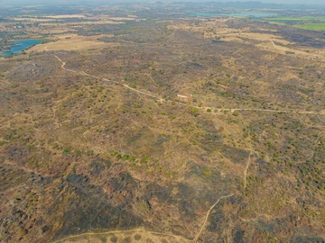Farm & Agricultural Land
