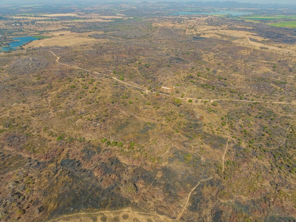 Farm & Agricultural Land