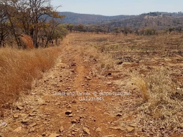 Prime Land For Sale In Glen Forest