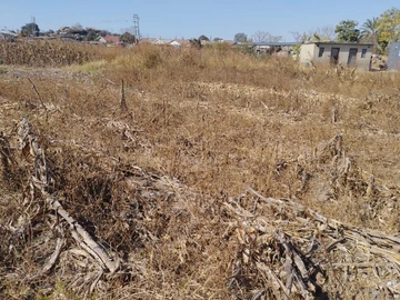 Commercial & Industrial Land