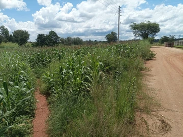 Land
