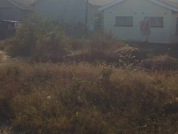 Land