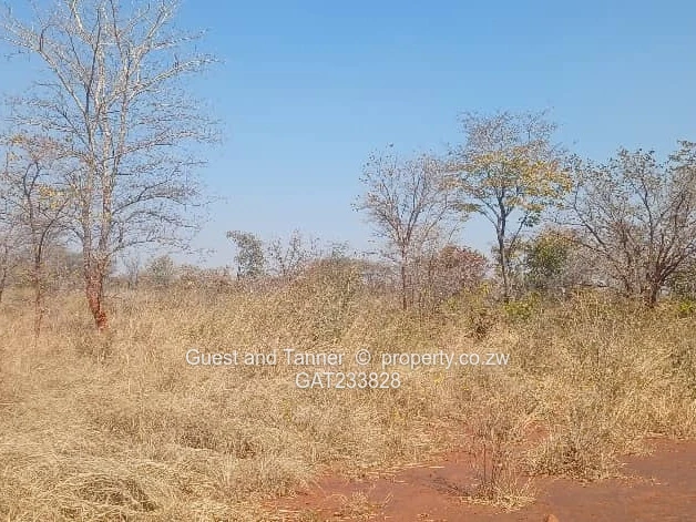 Prime Agro-Residential Plots for Sale – Norton (Limited Availability, High Demand)