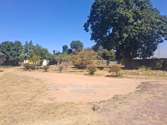 Golden Oldie Spacious Family Home for Sale - Hatfield 