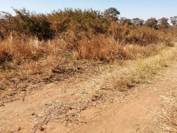 Farm & Agricultural Land