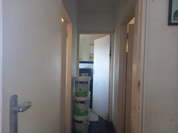 Flat & Apartment