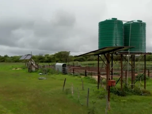 Farm & Agricultural Land