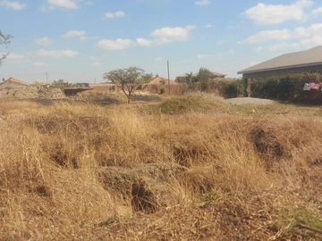 Stands & Residential Land