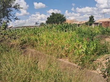 Stands & Residential Land