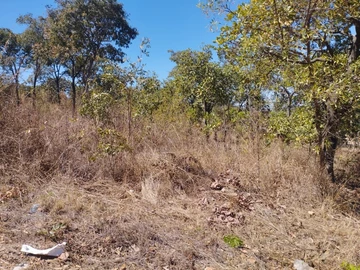 Land