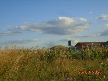 Commercial & Industrial Land