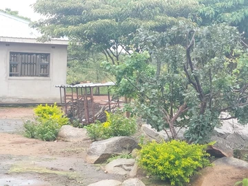 Stands & Residential Land