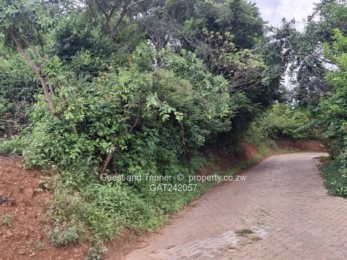 Prime Elevated Residential Stand for Sale in Helensvale – Gated Community