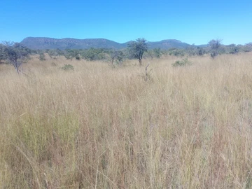 Land