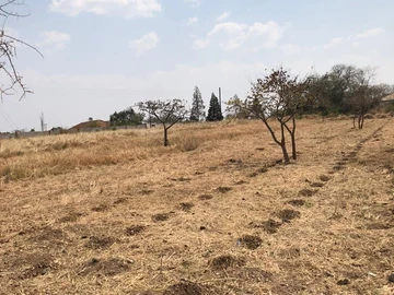 Stands & Residential Land