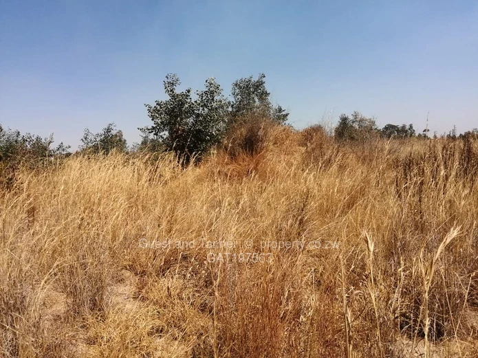 Residential Stands For Sale In Nyabira