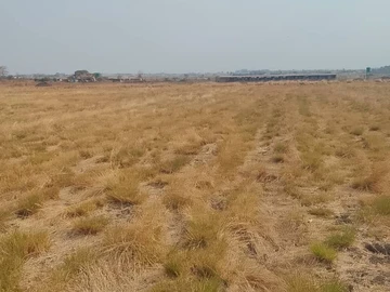 Farm & Agricultural Land
