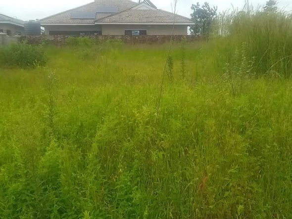 Stands & Residential Land